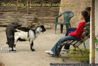 为了在监狱里找对象很多俄罗斯女孩愿意做舔狗