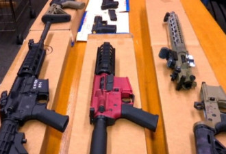 美司法部成立专项行动组 打击非法枪支贩运计划