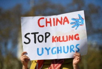 中国迫害维族 联合国人权专员首表态