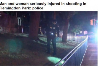 多伦多公园枪击一男一女重伤