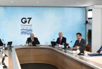 有专家建议突破世卫由G7组建机构调查病毒来源