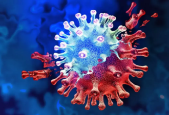 斯坦福最新研究 新冠病毒不只攻击肺部