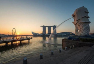 中国互联网精英：是如何“卷”入新加坡的？