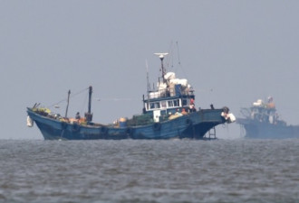美媒：中国渔船赶尽杀绝 致韩国渔业资源枯竭