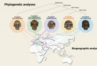 中国发现14.6万年前古人类化石 新人种“龙人”