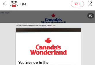 憋疯了！多伦多2.5万人挤爆Wonderland官网