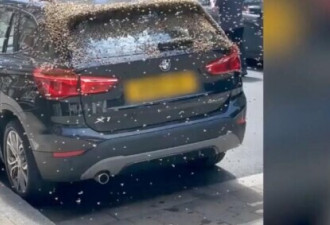 怪事！曼彻斯特市中心成千蜜蜂落在一辆汽车上