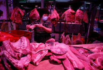 中国将启动猪肉储备收储工作