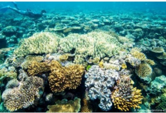 为何澳大利亚和中国为了大堡礁起争执？