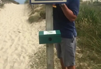 请不要在海滩上抽烟，澳洲的螃蟹已经上瘾了