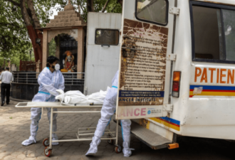 统计家：印度39万新冠肺炎死亡人数被严重低估