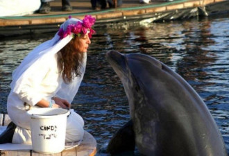 女子与海豚办奢华婚礼 海豚去世后声称永不再婚
