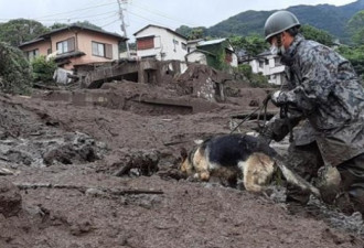 日本热海土石流 搜救犬奋力搜救感动万人
