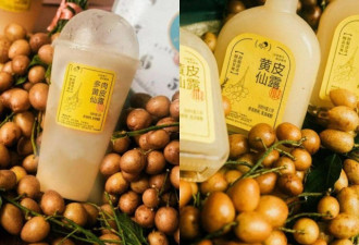 黄皮什么神奇水果？奶茶店是和南方水果杠上？