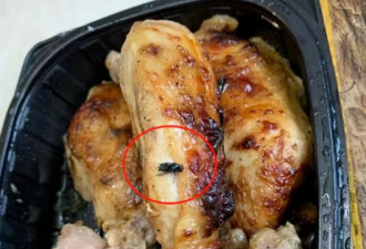 华人爆料：Costco买的烤鸡吃出好几只绿头苍蝇