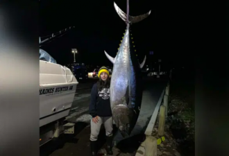 新世界记录？澳洲女孩钓上147kg重大鱼