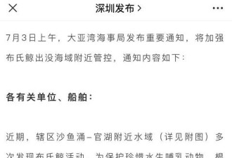 时隔16年布氏鲸再现深圳 官方紧急提醒