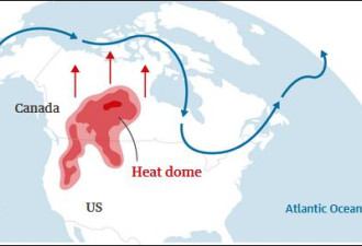 全球变暖是骗局？酷暑已致北美600人死亡