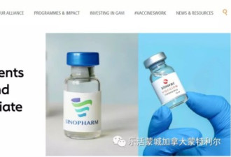 中国国药和科兴疫苗进入新冠肺炎疫苗实施计划
