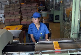 辱没人才?名校毕业生当烟厂工人认清这三个事实