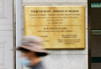 华人太太再动粗 比利时命令驻韩大使速返