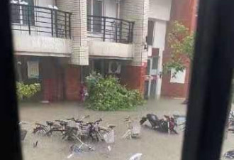 郑州大学被淹 黑天鹅都游出来了 学生屯方便面