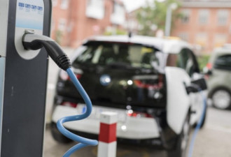 清洁能源汽车补贴推出 新西兰电动汽车销量翻番