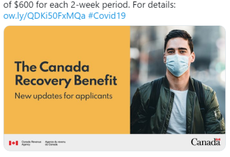 加拿大税务局提醒: CRB福利改为每两周600元