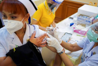 泰国官方挺科兴呼吁勿追加辉瑞疫苗 评论曝光