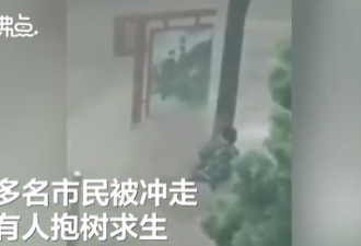 北京遭遇30年来最大暴雨 车被冲走