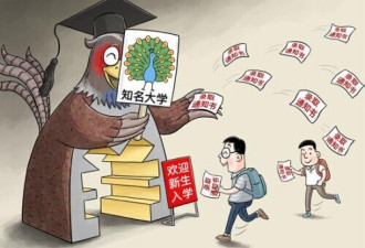 中国屡禁不止“野鸡大学”为何总能找到客户