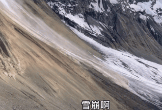 70后丁克夫妻租下云南独栋别墅 旅居生活曝光
