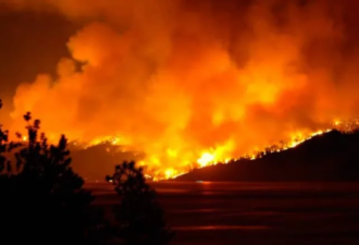 BC一天爆发300山火！7万个足球场被毁