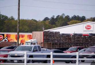 疑食用后1死亡2住院 美肉厂召回850万磅鸡肉