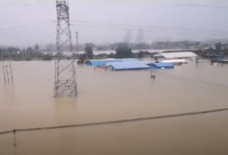 告急！河南新乡卫河决堤被淹 没电没信号…