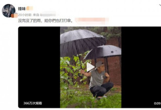 谢霆锋雨中给农作物打伞被骂 网友:儿子都不管
