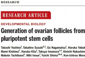 日本科学家重建“体外卵巢” 成功制造卵子