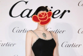 连拼2胎后，奚梦瑶没有比此刻更后悔吧？