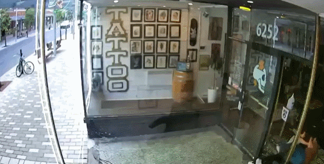 加拿大年轻情侣路边忘我激吻！撞碎小店玻璃