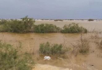 塔克拉玛干沙漠竟发洪水 300平方公里成汪洋