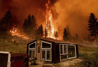 美国西部野火烧毁超四千平方公里土地 专家称..