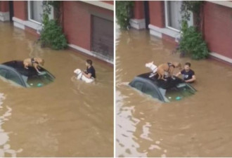 百年洪灾淹没比利时街道 暖男救援2狗网赞爆