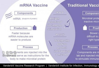 mRNA疫苗会不会影响人类遗传信息?科学家解释
