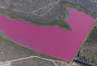 颜色不可思议 阿根廷工业区出现诡异“粉红湖”
