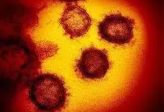 最新研究：自然免疫无法对抗Delta病毒