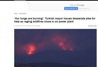 土耳其山火持续肆虐场面惊悚 市长发出绝望恳求