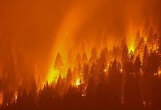 加州史上第三大野火面积大于纽约市 淘金名镇烧