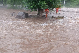 北京多地暴雨景区关闭 3人抱住大树获救