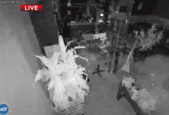 旧金山餐厅疑似被扔炸弹 亚裔老板近乎崩溃
