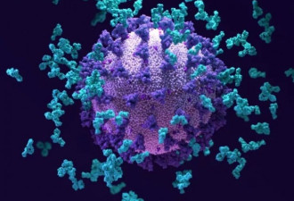 最酷超级抗体来了 能对付多种变异 包括SARS